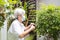 Asian senior woman is pruning branches,cuts branches of a tree in the garden,self isolation and quarantine during the pandemic of
