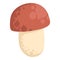 Asian Shiitake mushroom or fungi. Raw forest edible fungus composition. Natural organic vegetarian food. Colored hand