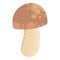 Asian Shiitake mushroom or fungi. Raw forest edible fungus composition. Natural organic vegetarian food. Colored hand