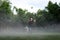 Asian short hair Woman is Joyful Jumping in the fog environment on grass field garden
