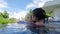 Asian sibling sisters playing in swimming pool with family in a hot summer day. Family lifestyle in vacation.