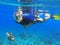 Asian snorkel and big fish under blue water during snorkeling lesson near coral reef