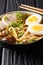 Asian soup with udon noodles, pork, eggs, shiitake and onions cl