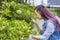 Asian student using magnify glass to explore the insect in the garden for after school biology class in the park for nature and