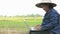 Asian Thai farmer using laptop computer in the rice field
