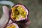 Asian thai woman sit and eating passion fruit