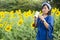 Asian thai woman use camera shooting photo sunflower flower field