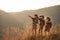 Asian Three Boy Scouts exploring nature with binoculars in camp on the mountain. landscape survey concept