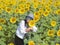 Asian tourist woman standing in yellow sunflowers farm