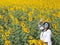 Asian tourist woman standing in yellow sunflowers farm