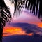 Asian tropic exotic sunset near palms