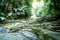 Asian Tropical Jungle waterfall