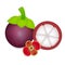 Asian tropical ripe mangosteen fruit with flower on white.