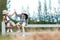 Asian two children raise give me five and sitting on the white fence outdoors, adventure and tourism for destination and leisure t