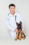 Asian vet in a white coat with a stethoscope on his neck examines a German shepherd puppy on a table in a veterinary clinic.