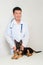 Asian vet in a white coat with a stethoscope on his neck examines a German shepherd puppy on a table in a veterinary clinic.