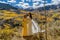 Asian Vietnamese bride with mother in traditional Vietnamese wedding dresses in the yellow autumn aspen trees of Colorado