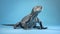 Asian Water Monitor vibrant blue background with a majestic lizard perched on top