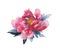 Asian watercolor flowers peone