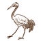 Asian wild bird, heron, wader or stork isolated sketch