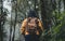 Asian woman backpacker arms up at foerest on natural trails,Vacation holiday at rain forest