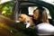 Asian Woman And Cute Dog In Car On Summer Travel