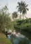 Asian woman enjoying paddling on transparent boat at canal in tropical forest