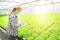 Asian woman farmer check quality of green lettuce in greenhouse organic hydroponic farm,lady gardener write on document file with