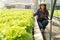 Asian woman farmer check salad vegetable growth and use tablet for control water, light, temperature in hydroponic plant system