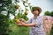 Asian woman gardener with the basket on back picking an orange with scissor in the oranges field garden