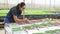 Asian woman gardener work in greenhouse with smartphone check the neatness of the packaging of plant seedlings before selling.