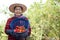 Asian woman gardener works at cashew garden