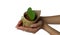 Asian Woman Hands Holding Heart Like Cactus Flowerpot Decorated with Brown Sack and Green Bow