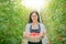 Asian woman harvest tomato in garden