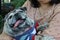 Asian woman holding a fat pug dog smiling sees a cute tongue funny face happy dog