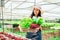 Asian woman hydroponic vegetable garden owner, walks to collect and inspect vegetables in her own vegetable garden, grown in water