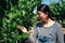 Asian woman inspecting grapes in vineyard