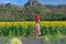 Asian woman looking Sunflowers field at Khao Jeen Lae,Lopburi Province,Thailand