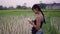 Asian woman looks at her phone in a rice field