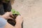 Asian woman planting pepper plant in black plastic bag, Agriculture