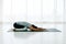 Asian woman practices yoga asana balasana child`s pose working out