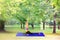 Asian woman practicing yoga in the  garden  beauty woman in sport wear doing  meditation in green environment by yoga