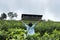 Asian woman raise her hand in tea farm. tea plantation. fresh gr