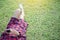 Asian woman relaxing to listen music from mobile phone at the park