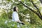 Asian woman is relaxingly practicing meditation yoga in forest full of wild flower in summer to attain happiness from inner peace