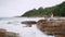 Asian woman on rock cliff near the sea, using mobile smart phone taking photo of the view. wave hitting stone on the beach. freedo