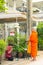 Asian woman is sitting and respecting Buddhist monks after offering food to monks, at front home in the morning, Monk wearing a