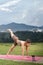 Asian woman sporty practicing yoga at public park outdoor, stretching her body. Healthy active lifestyle