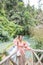 Asian woman standing on the wooden walkway in the Kuang Si Waterfall Lung Prabang, Laos