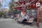 An Asian woman takes photo with the rooftop of Chureito pagoda